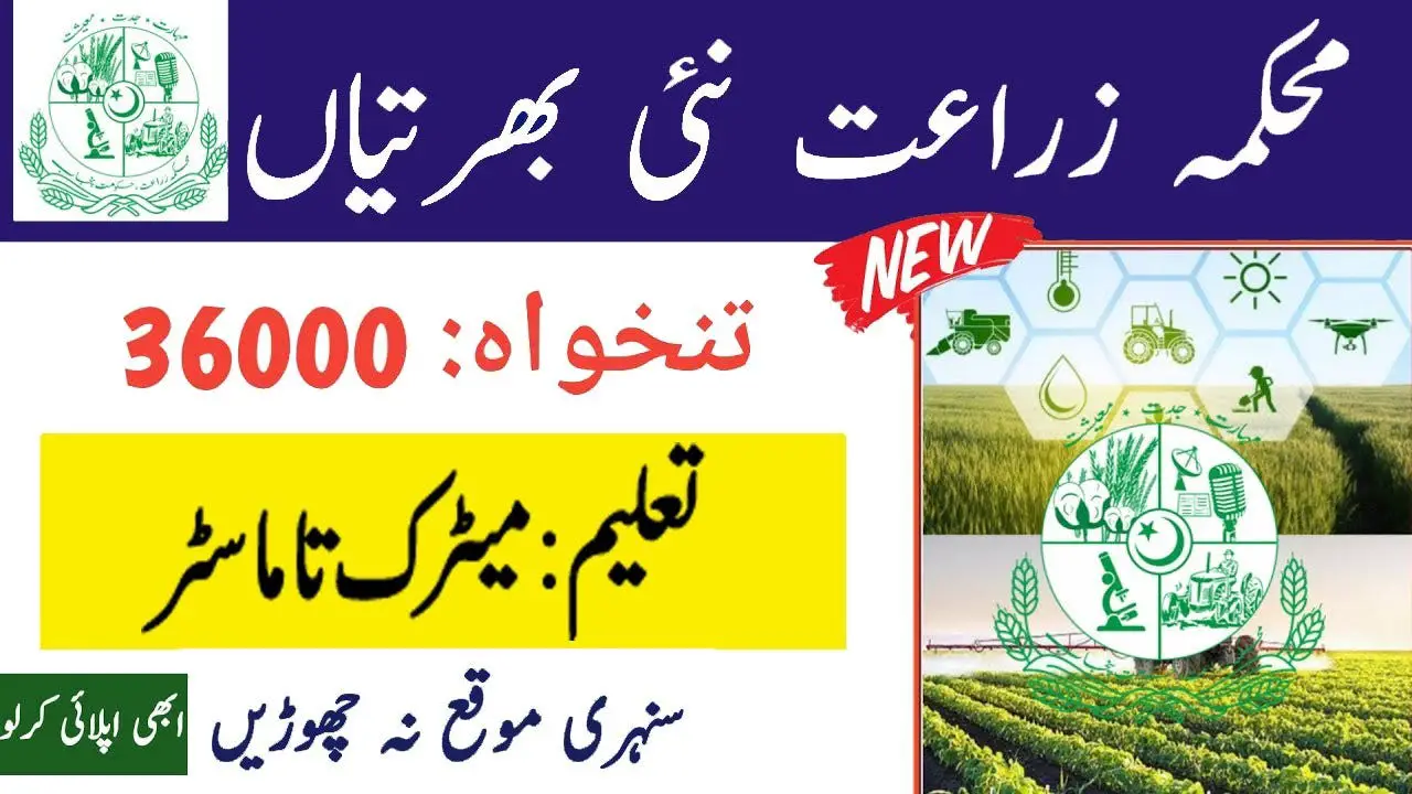 Agriculture Department Jobs 2024