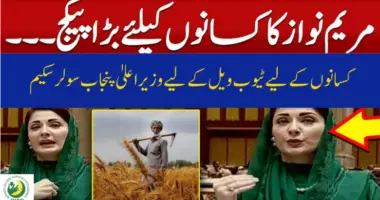 کسانوں کے لیے ٹیوب ویلوں کے لیے وزیراعلیٰ پنجاب سولر سکیم